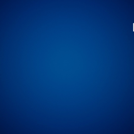 Digital Strategy